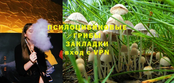 прущий лед Алзамай