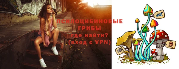 дмт Алексин
