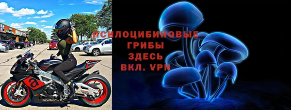 дмт Алексин
