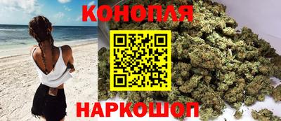 мдпв Ачхой-Мартан