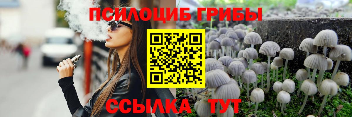 Псилоцибиновые грибы Psilocybe  Галлюциногенные грибы GOLDEN TEACHER  Вход с VPN  Ахтубинск 